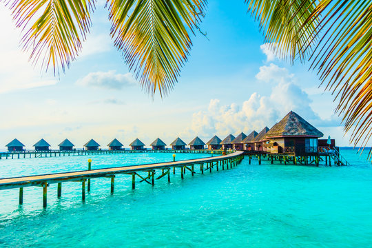 http://backendportal.traviyo.com/../Images/Destinations/Arun_73552/638667755655554034_temp.jpg