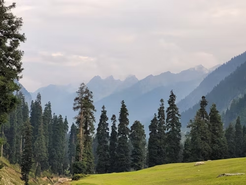 Kashmir