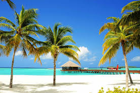 Exotic Vacation in Goa